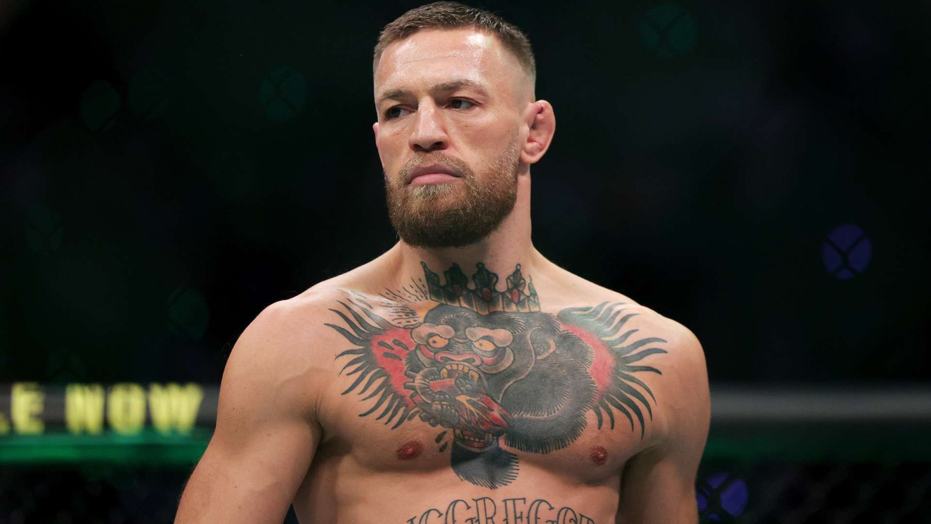 在这个激动 在这个激动