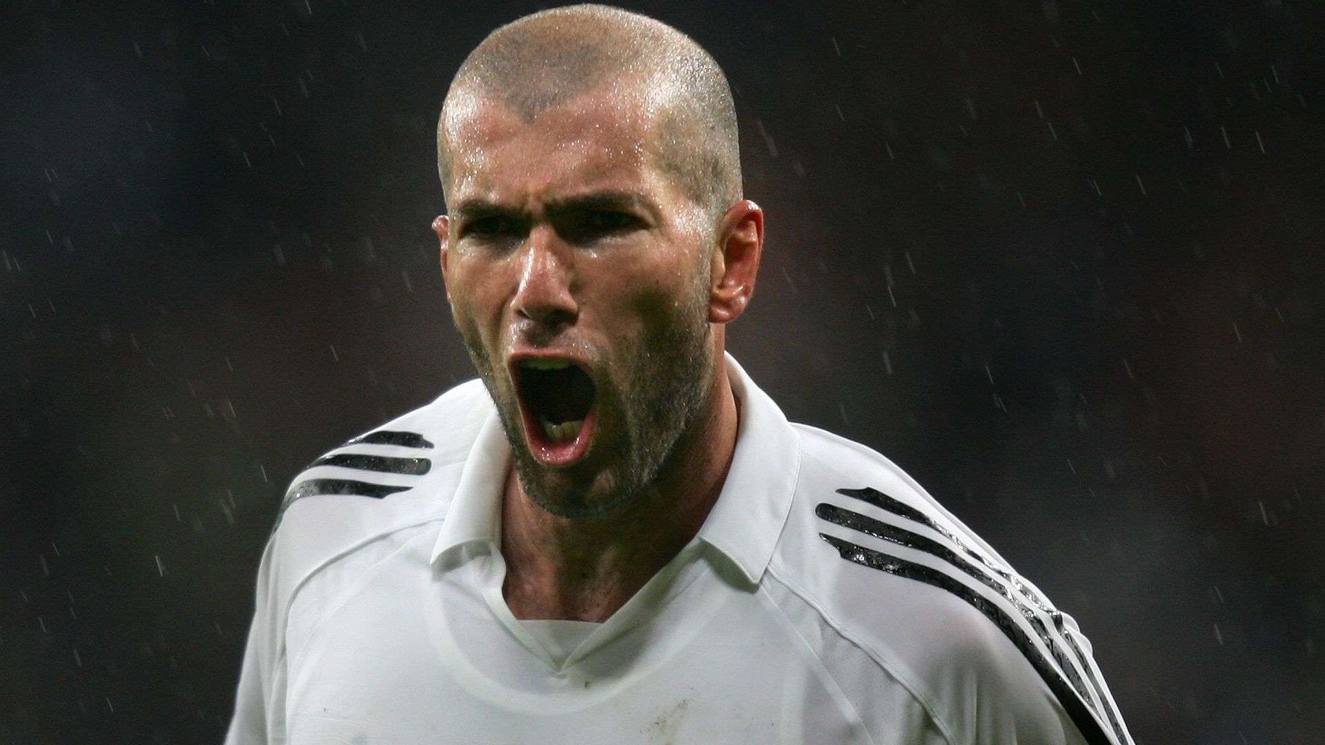 崔永熙的加 崔永熙的加