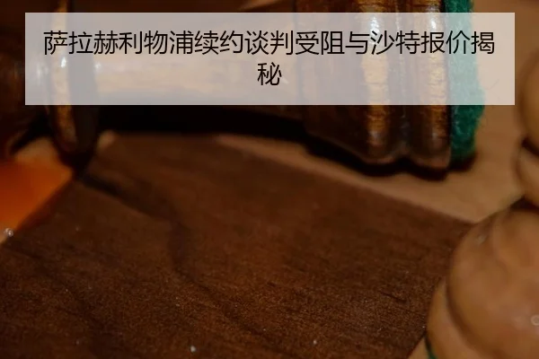 sa-la-he-li-wu-pu-xu-yue-tan-pan-shou-zu-yu-sha-te-bao-jia-jie-mi-3-762.jpg