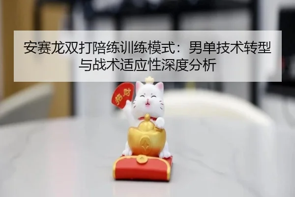 安赛龙双打陪练训练模式：男单技术转型与战术适应性深度分析